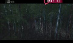 国产精品大陆在视频