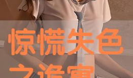 国产精品高清视频免费观看,免费观看，尽在指尖